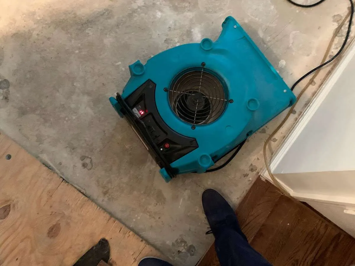 Air mover drying subfloor during Commercial Water Damage Restoration in Punxsutawney